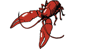 Ragin' Cajun